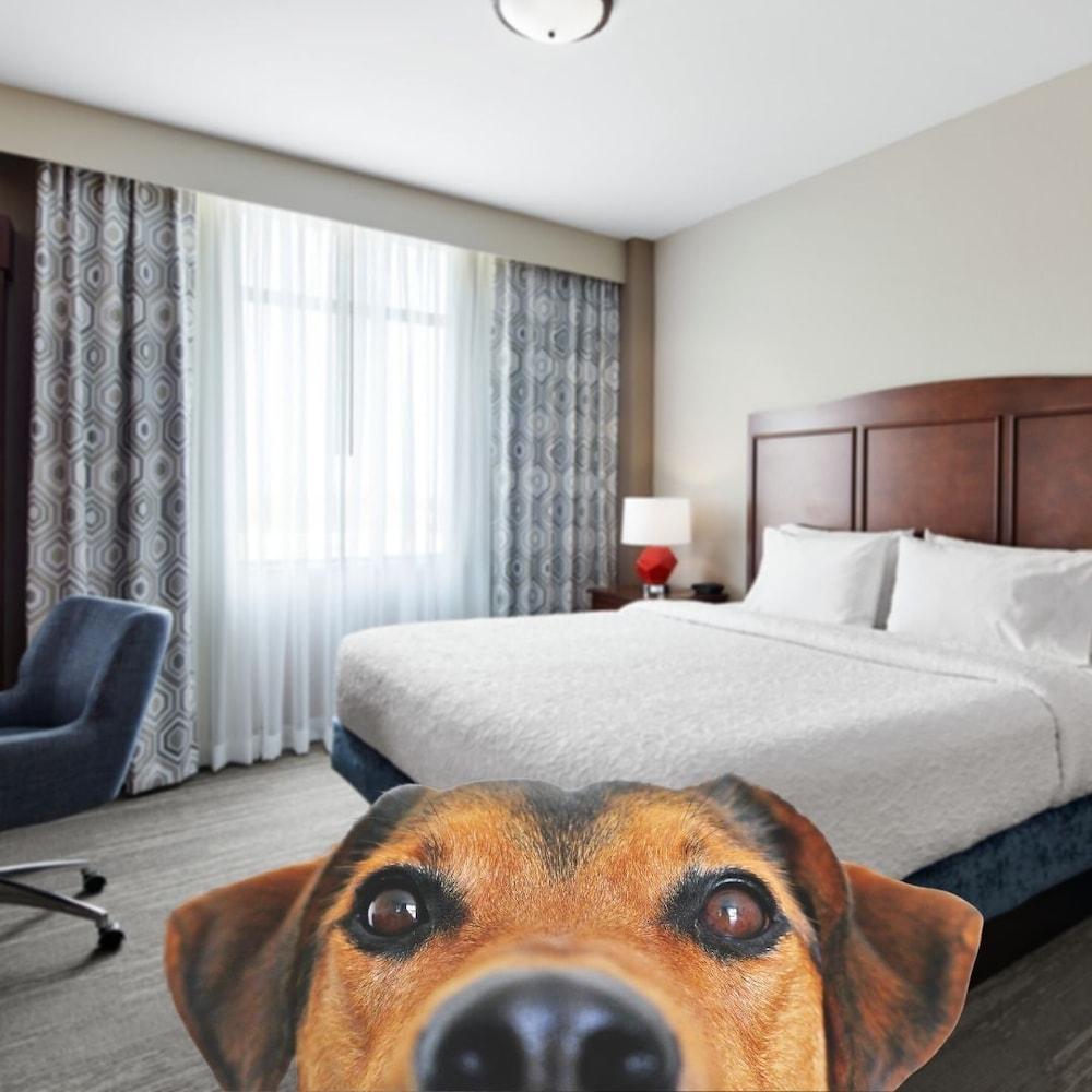 Hotel Hampton & Mt. Prospect